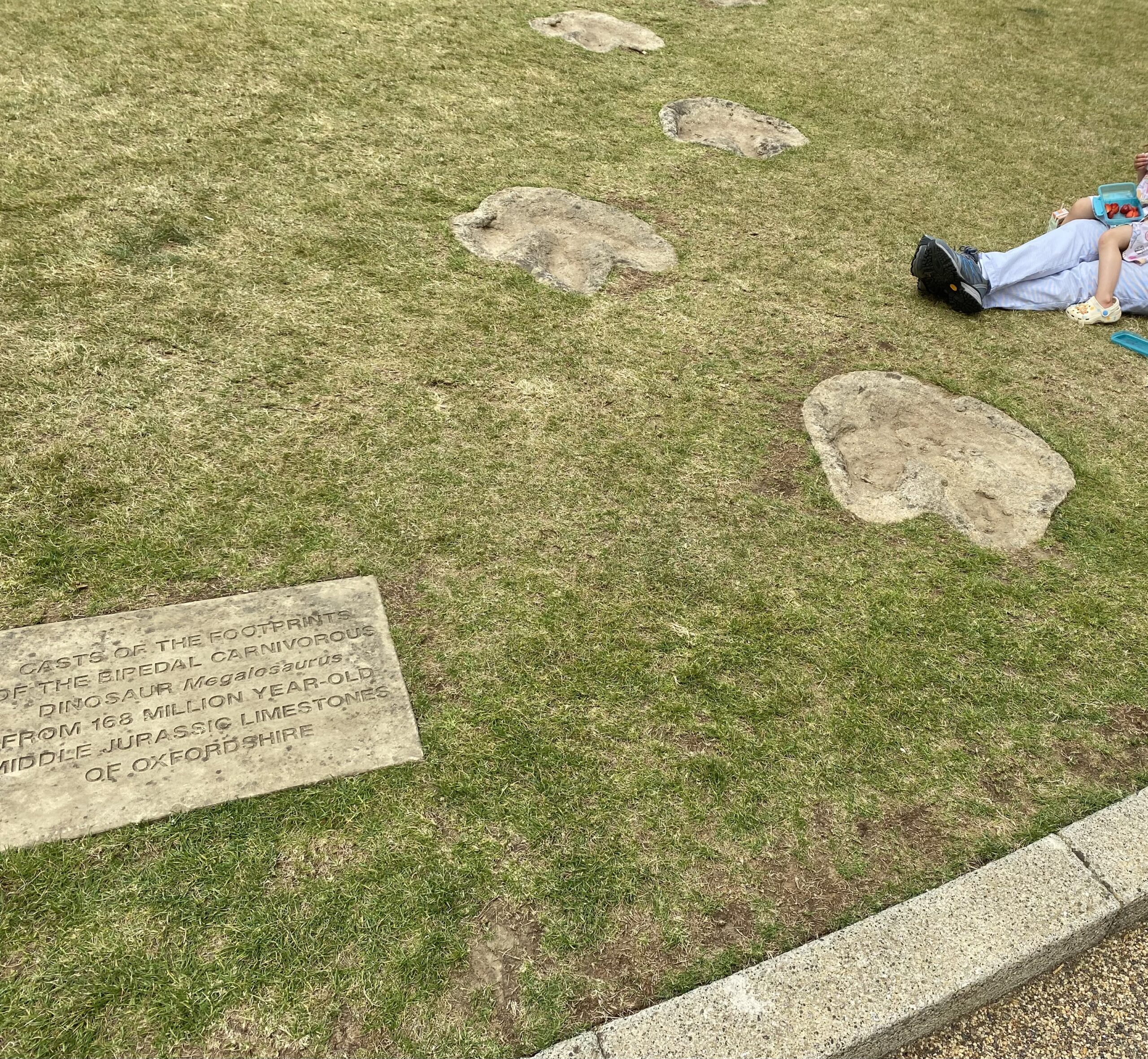 Featured image for “Dinosaur Footprints”