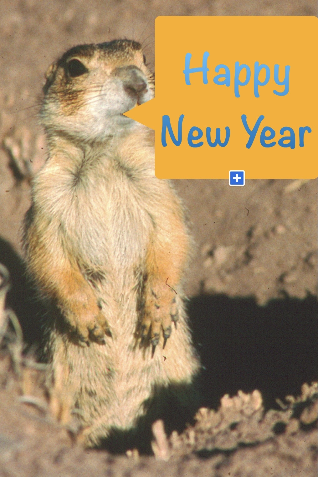 Featured image for “New Year Special 2026”