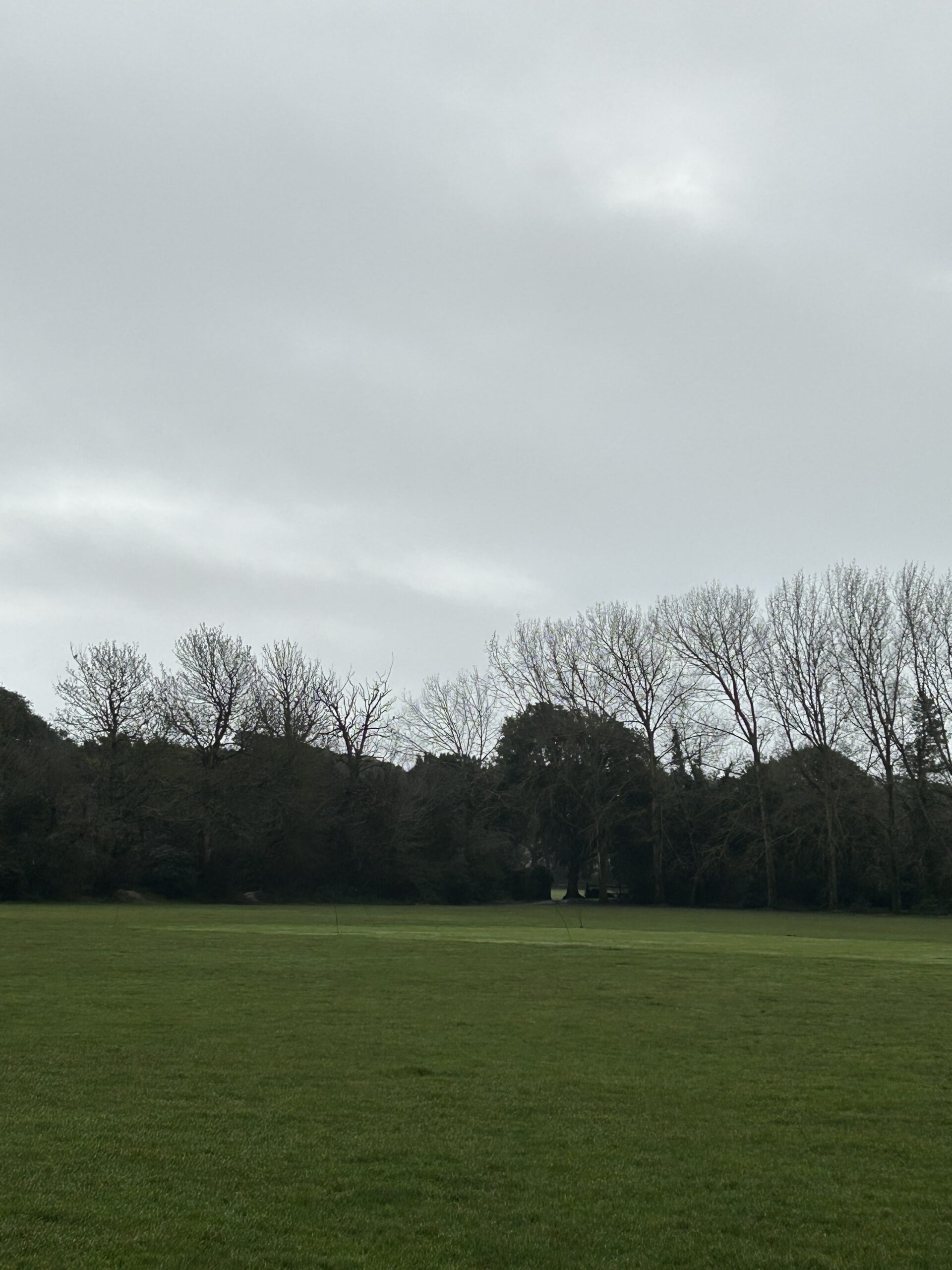 Featured image for “A reckoning on the rec”